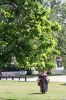 Colonial Williamsburg