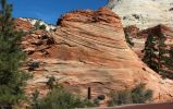 Zion NP