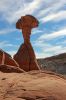 Toadstool Hoodoo