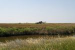 Cedar Island