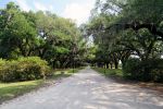 Boone Hall Plantation, Zufahrt