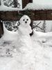 07 Schneemann
