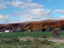 Charlevoix Herbstwald