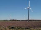 P1010602_DxO_Ontario_17_Windpark_Forum.jpg