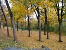 Montreal Mont Royal