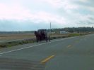 Amish Kutsche bei Penn Yan
