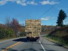 Heutransport auf der NY 79