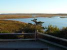 Cape Cod Nauset Marsh