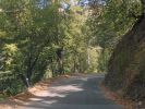 P1120552_Nacimiento_Fergusson_Rd_Wald_forum.jpg