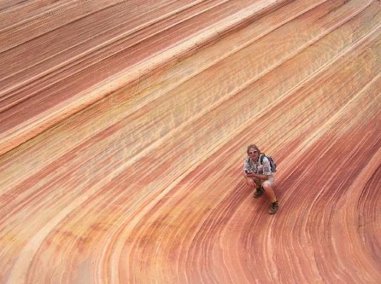 The Wave
