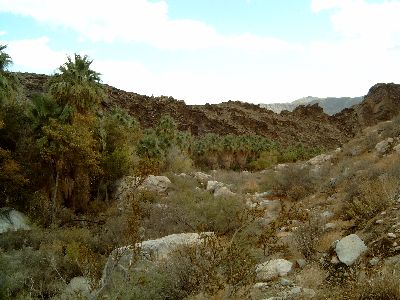 Andreas Canyon
