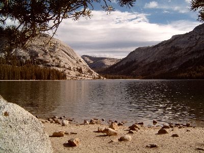 Yosemite NP
