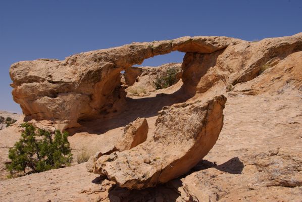 Arch

