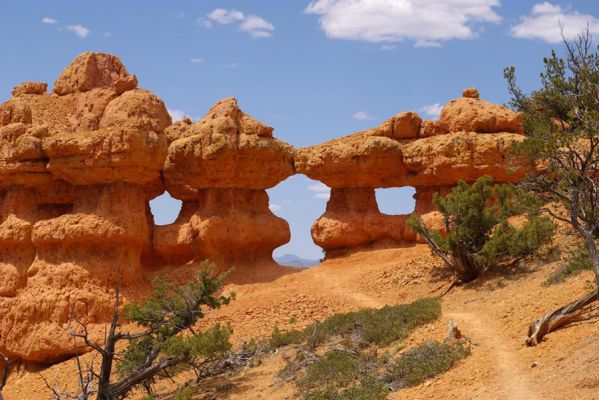 Red Canyon 
