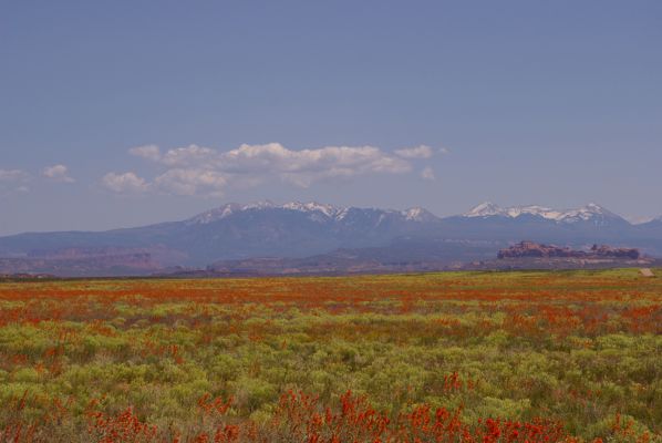 Klondike Bluffs

