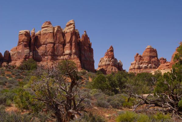 Chesler Park
