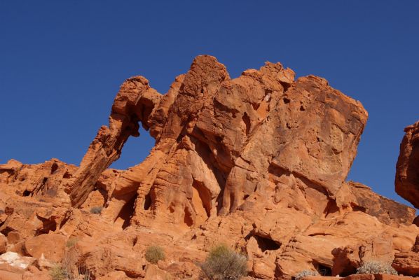 Elephant Rock
