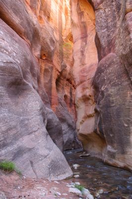 Kanarra Creek
