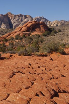Snow Canyon SP

