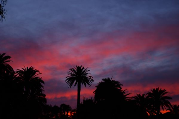 Las Vegas by Night - Sunset Strip
