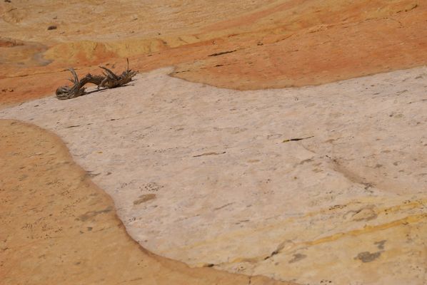 Yellow Rock
