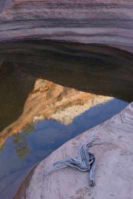 Zion East
