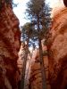 027 - Wall Street I - Navajo Loop.JPG