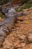 Red Canyon