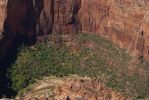 Observation Point