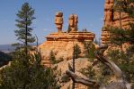 Red Canyon 