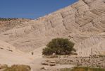 Snow_Canyon_SP.jpg