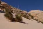 Snow_Canyon_SP_II.jpg
