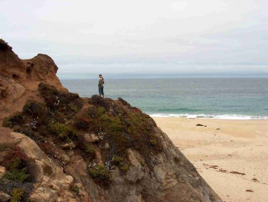 Highway 1 California
