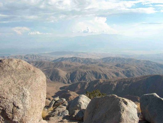 Joshua Tree NP
