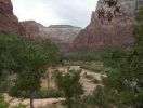 Zion NP