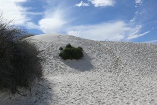 White Sands N.M. VI
