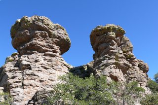 Chiricahua N.M.
