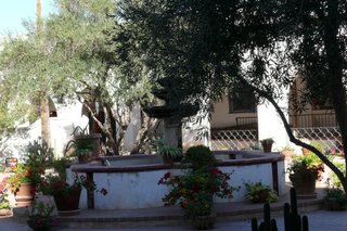 Mission San Xavier del Bac IX
