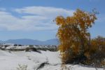 White Sands N.M. V