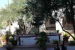 Mission San Xavier del Bac IX
