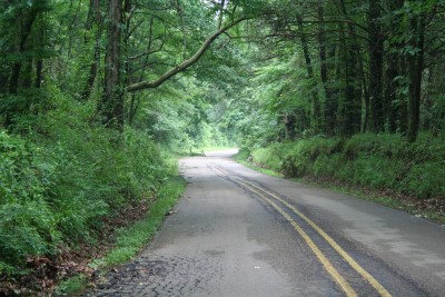 Vormarschstraße
Battle of Champion Hill
