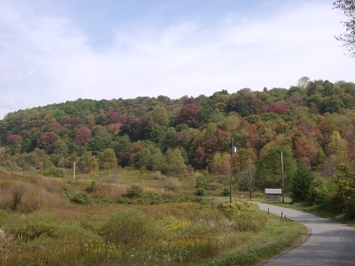 Indian Summer 1.jpg