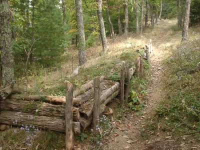 Stellungen im Camp Johnston.jpg