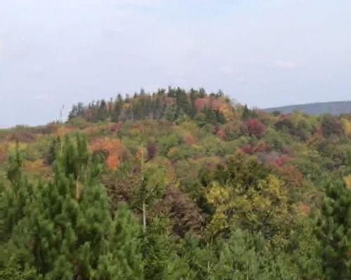 Cheat Mtn.jpg