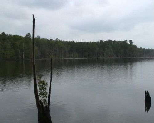 Dam No. 1.jpg