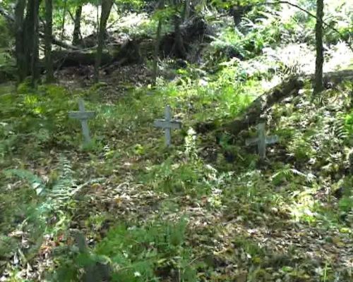 Friedhof am Cheat Mtn.jpg