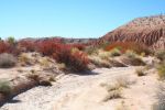 2006-09-25 11 Cathedral Gorge SP Bunte Wueste.jpg