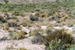 2006-09-25 23 Cathedral Gorge SP.jpg
