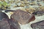 2006-09-27 06a Petroglyphs in der Grimes Archaeological Area.jpg