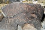 2006-09-27 07 Petroglyphs in der Grimes Archaeological Area.jpg